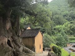 -杨家堂村