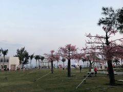 -玫瑰海岸文化旅游度假区