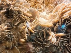 -甘肃地质博物馆