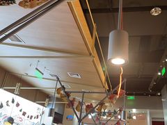 -蛙小侠(柳州万象城店)