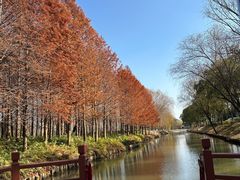 -狼山风景名胜区