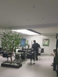 -付军剪艺JF ProSalon