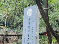 -抱犊崮国家森林公园