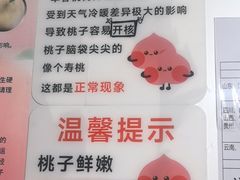 -老袁家蜜桃农场·阳山水蜜桃