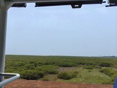 -北海金海湾红树林生态旅游区