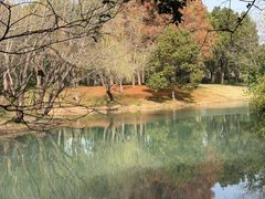 -贡湖湾湿地公园