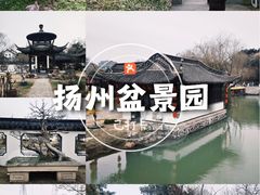 -扬州大运河文化旅游度假区·盆景园