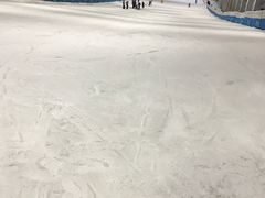 -绍兴启迪乔波冰雪世界
