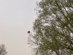 -睦南公园