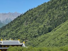 -黄龙山原始森林景区