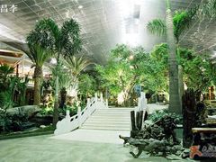 54630002-绿色时代大酒店