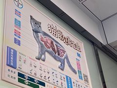 -半岛宠物医院24小时(科华中路店)