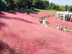 -牛岗山公园