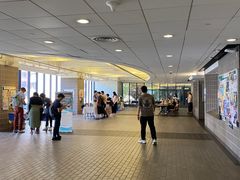 -香港大学