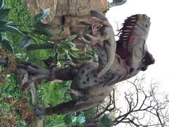 秦岭野生动物园-西安秦岭野生动物园