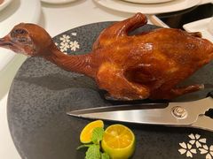 乳鸽-悦景酒家(罗湖店)