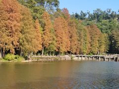 -深圳仙湖植物园