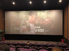 -大地影院(宁波恒茂商业广场店)