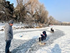 -长春市南湖公园