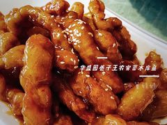 -华盛园卷子王农家菜水库鱼