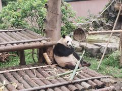 -杭州动物园
