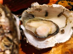 -烧蠔帮·湛江生蚝(工农店)