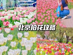 -国家植物园