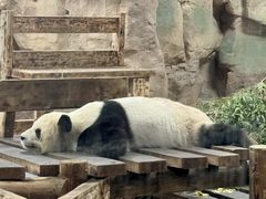 -无锡动物园·太湖欢乐园
