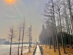 -苏州吴中太湖旅游区