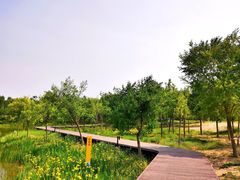 -东郊湿地公园