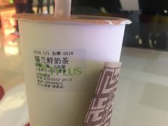 锡兰鲜奶茶-TPLUS茶家(淮海店)