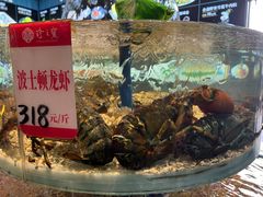 -寻味顺德·珍之宝酒楼(银钻店)