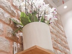 -第六季自助餐厅(甜水园店)