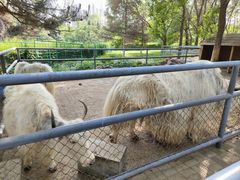 -长白岛森林公园