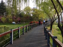 -尚贤河湿地