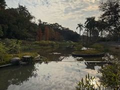 -云溪植物园