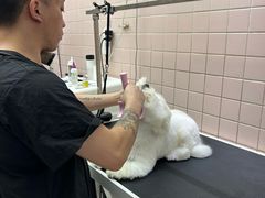 -FAELING PETS美天灵宠物(富力广场店)