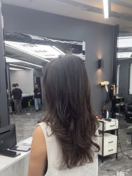 点击看大图 -藤野造型