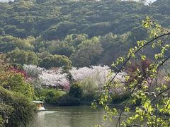 -苏州上方山国家森林公园