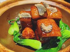 雕梅松露红烧肉-酝· 大师滇菜(公园1903店)