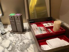 -新加坡瑞士史丹福酒店