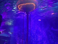 -沈阳海洋探索中心