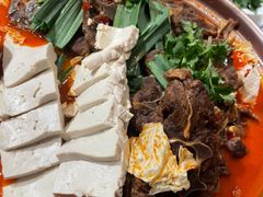 -杨氏青龙虾·羊蝎子(托乐嘉店)