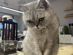 -Oasis绿洲银饰珍珠手作diy(壹方城店)