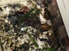 -义乌之心城市生活广场