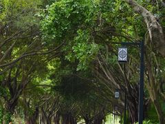 -南宁南湖公园