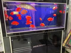 -绿岛汤泉韩式休闲会所