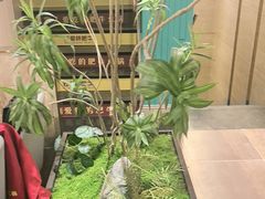 -五星桥原切肥牛火锅(怀德桥店)