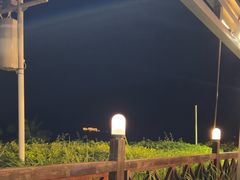 -渔家火锅·海鲜自助餐·演艺(亚龙湾天域酒店)