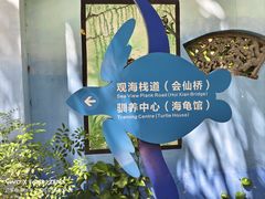 -广东惠东海龟国家级自然保护区